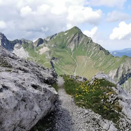 Sunalpin - Appartamento Schoppernau
