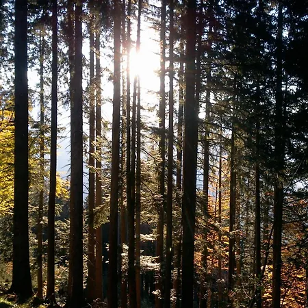 Appartamento Sunalpin - *